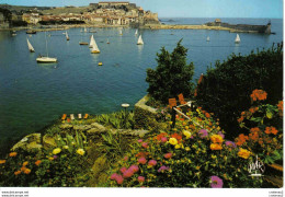 66 COLLIOURE N°11018 Le Port Avec Voiliers Chaises Longues VOIR DOS - Collioure