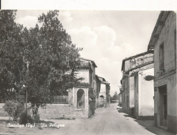 ITALIE - ITALIA - UMBRIA - Cantalupo - Via Perugina (1973) - Perugia