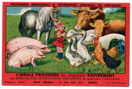 Vétérinaire. Droguerie Médicinale Et Vétérinaire Centrale De Bretagne. Produits Hervarène - Pubblicitari