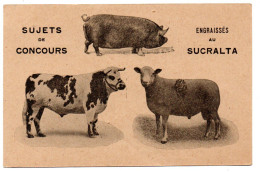 Publicité Pour Sucralta. Sujets De Concours Engraissés Au Sucralta - Breeding