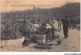 CAR-AATP5-51-0484 - EN CHAMPAGNE - Vendanges En Champagne - Le Triage Du Raisin - Ay En Champagne