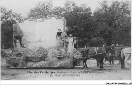 CAR-AATP4-33-0357 - BORDEAUX - Fêtes Des Vendanges Organisée à Bordeaux - Char Des Pyrénées - Bordeaux