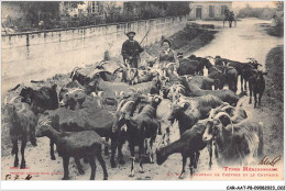 CAR-AATP8-65-0672 - Types Méridionaux - Troupeau De Chèvres Et Le Chevrier - Sonstige & Ohne Zuordnung