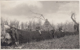 Karlovac Luščić 1932 - Hrast , Oak Tree , Logging - Croatia