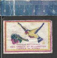 BIRD ( OISEAU VOGEL ) - OLD MATCHBOX LABEL ALGERIA - Matchbox Labels
