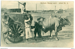 SPRING-CLEANING LOT (4 POSTCARDS), Yemen, Asia - Yémen