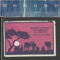 SUNSET WITH CARAVAN & CAMELS (WHITE SUN) - OLD MATCHBOX LABEL ALGERIA - Luciferdozen - Etiketten