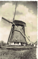 HOLLANDE  Moulin à Vent   KINDERDIJK - Mulini A Vento