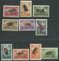 Hungary:Unused Stamps Serie Beetles, Bugs, Grasshopper, Bee, 1954, MNH - Autres & Non Classés