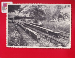 Trains Petit Format Photo Originale Snapshot Réseau De M Lugan à Sorgues Vaucluse 10 Juin 1951 - Eisenbahnen