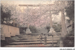 CAR-AAUP3-0219 - JAPON - CHERRY BLOSSOM OF DAIJINGU IN YOKOHAMA - Yokohama