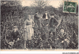 CAR-AAUP2-95-0118 - FRANCE - ARGENTEUIL - Les Vendanges - Argenteuil