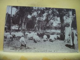 40 4056 RARE CPA - AU PAYS LANDAIS - MOUTONS MANGEANT DES GLANDS - ANIMATION. - Allevamenti