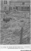 CAR-AAUP9-0619 - AGRICULTURE - Le Foulage Du Fumier Par Une Equipe De ....volontaires Generalement Nourris   - Fermes