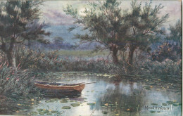 British Scenic UK Moonlit Waters Rowboat - Other & Unclassified