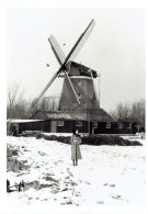 HOLLANDE  Moulin à Vent  Près De  SPAARADAM 1971  Format  Photo 7,5x10,5 - Windmühlen