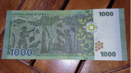 1000 Pound  UNC - Syrie