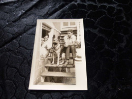 P-134 , Photo Animal ,  Chien Berger Allemand  Assis Sur Un Escalier , Circa 1935-1945 - Altri & Non Classificati