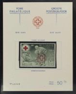 Belgien, 1941, 504 Var., Postfrisch - Autres & Non Classés