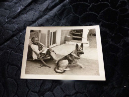 P-137 , Photo Animal ,  Chien Berger Allemand Assis à Côté Se Sa Maîtresse , Circa 1935-1945 - Andere & Zonder Classificatie