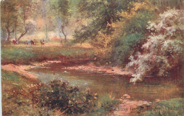 British Scenic UK Epping Forest The Ching Brook - Autres & Non Classés