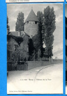 VIX083, Vevey, Château De La Tour, Animée, échelle, 2048, Circulée 1908 - Vevey