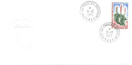 TAAF FDC 1975 CHOU DE KERGUELEN - FDC