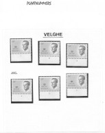 Belgie -  50 Bfrs TYPE VELGHE No Bril - KOMPLET  SET Of 6 PlaatnummerS Perfekt Postfris - 1981-1990