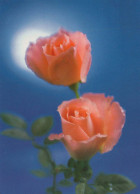 FLOWERS Vintage Ansichtskarte Postkarte CPSM #PBZ533.DE - Blumen