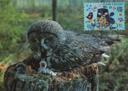 VOGEL Tier Vintage Ansichtskarte Postkarte CPSM #PBR715.DE - Birds