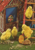 OSTERN HUHN EI Vintage Ansichtskarte Postkarte CPSM #PBO827.DE - Easter