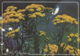 FLOWERS Vintage Ansichtskarte Postkarte CPSM #PAS426.DE - Fiori