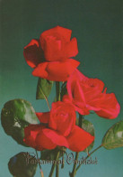 FLOWERS Vintage Ansichtskarte Postkarte CPSM #PAR945.DE - Fiori