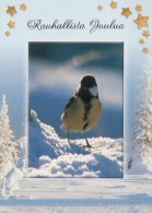 VOGEL Tier Vintage Ansichtskarte Postkarte CPSM #PAN024.DE - Birds