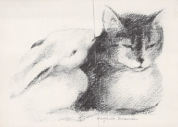 KATZE MIEZEKATZE Tier Vintage Ansichtskarte Postkarte CPSM #PAM393.DE - Cats