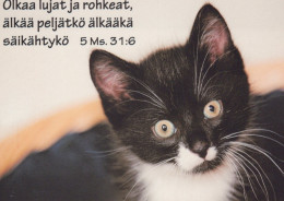 KATZE MIEZEKATZE Tier Vintage Ansichtskarte Postkarte CPSM Unposted #PAM519.DE - Cats