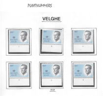 Belgie -  100 Bfrs TYPE VELGHE No Bril - KOMPLET  SET Of 6 PlaatnummerS Perfekt Postfris - 1981-1990