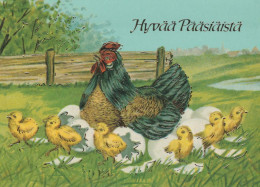 PÂQUES POULET ŒUF Vintage Carte Postale CPSM #PBO888.FR - Pasqua