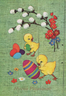 PÂQUES POULET ŒUF Vintage Carte Postale CPSM #PBO760.FR - Easter