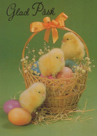 PÂQUES POULET ŒUF Vintage Carte Postale CPSM #PBO638.FR - Easter