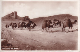 SYRIE(PALMYRE) - Syrië