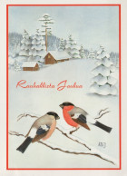 OISEAU Animaux Vintage Carte Postale CPSM #PAN083.FR - Vögel
