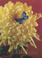 FLOWERS Vintage Postcard CPSM #PBZ410.GB - Blumen