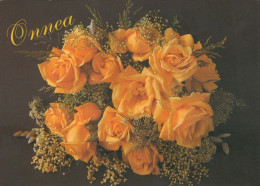 FLOWERS Vintage Postcard CPSM #PBZ049.GB - Flores