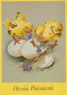 EASTER CHICKEN EGG Vintage Postcard CPSM #PBO697.GB - Pascua