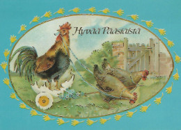 EASTER CHICKEN Vintage Postcard CPSM #PBO886.GB - Pascua