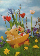 EASTER CHICKEN EGG Vintage Postcard CPSM #PBP137.GB - Pascua