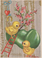 EASTER CHICKEN EGG Vintage Postcard CPSM #PBO758.GB - Easter