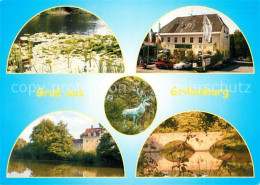 73268235 Grillenburg Jagdschloss Bogenbruecke Waldhof Zu Grillenburg Gaststaette - Tharandt