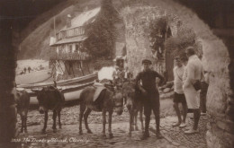 ÂNE Animaux Vintage Antique CPA Carte Postale #PAA355.FR - Donkeys